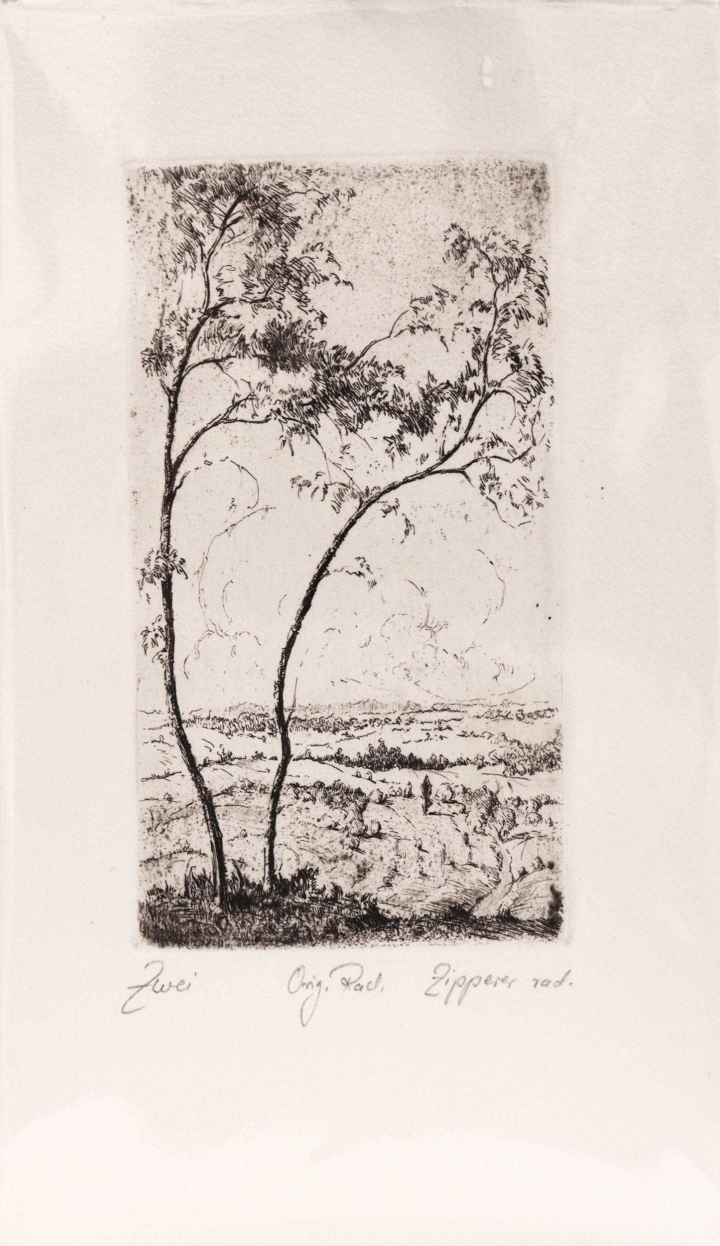 Radierung, signiert von Zipperer, Titel „Zwei“ – Radierung auf Büttenpapier mit Büttenrand, Blick auf zwei junge Bäume im Vordergrund, im Hintergrund weite Landschaft und Himmel mit Wolken. Unterhalb der Radierung der Bildtitel und Signatur. Erhältlich bei Galerie Waldbach - What The Artist Made