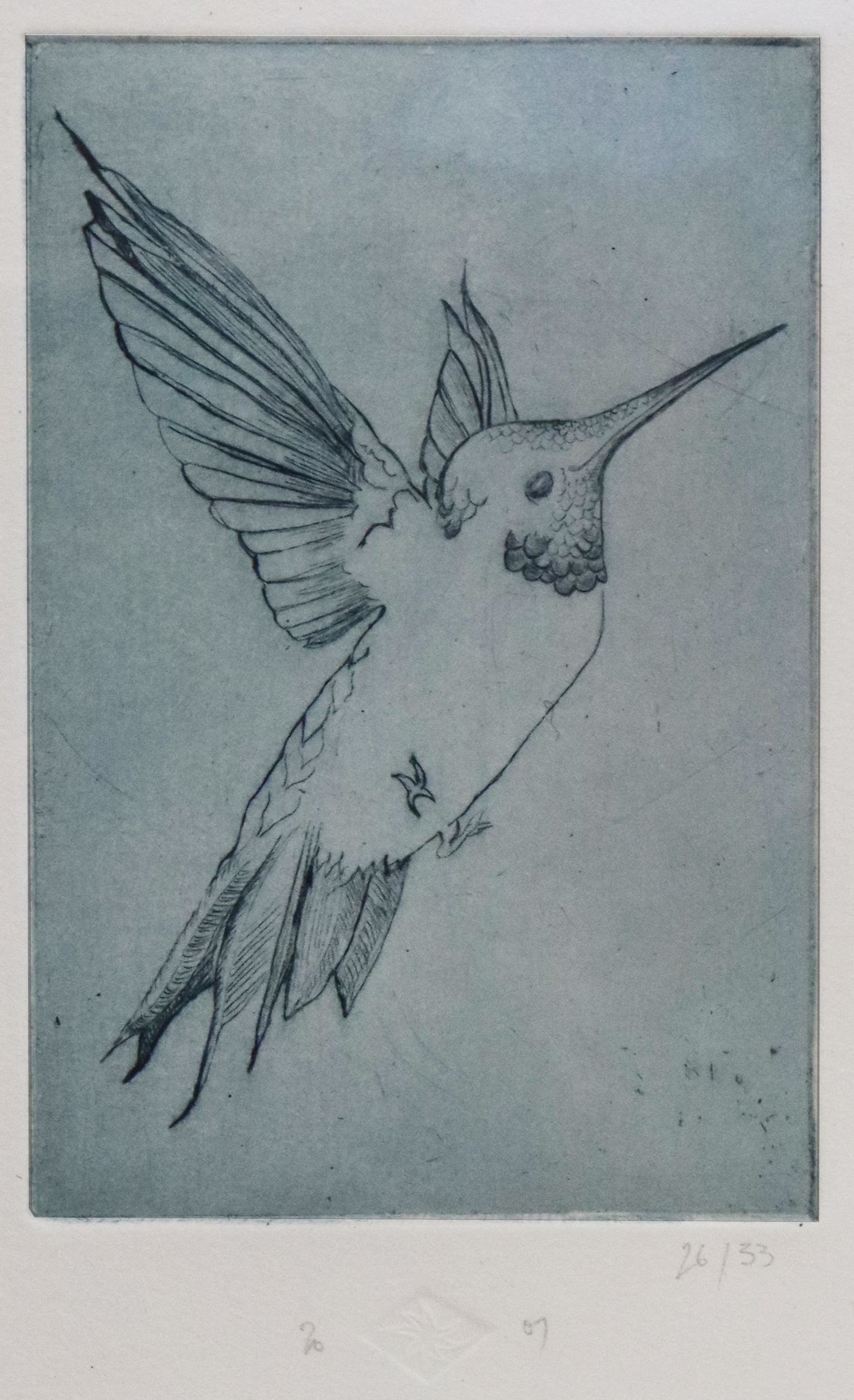 Original Radierung von Frank Lindenberg, Titel: "Kolibri". Motiv eines Kolibris, fliegend, blau,  Radierung auf Karton, Detailansicht, erhältlich bei Galerie Waldbach - What The Artist Made