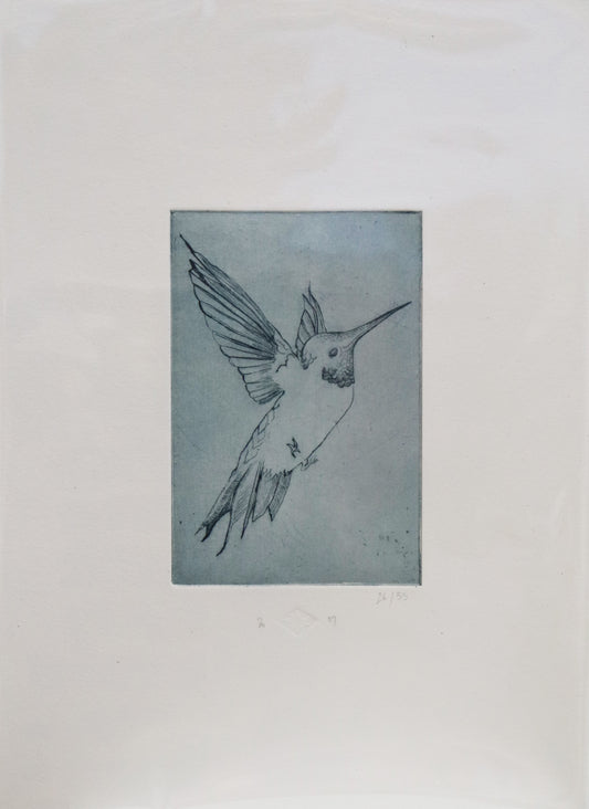 Original Radierung von Frank Lindenberg, Titel: "Kolibri". Motiv eines Kolibris, fliegend, blau,  Radierung auf Karton, erhältlich bei Galerie Waldbach - What The Artist Made